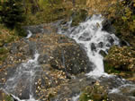 Autumn Stream